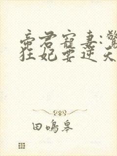 帝君宠妻:惊世狂妃要逆天封面