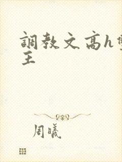 调教文高h双男主