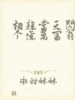 相亲当天闪婚了个亿万富翁小说封面