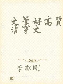 文笔好高质量的清穿文