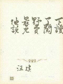 他最野了下册小说免费阅读