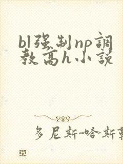 bl强制np调教高h小说