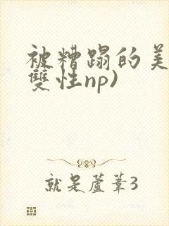 被糟蹋的美人(双性np)封面