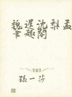 魏迟沈梨孟灵薇笔趣阁封面