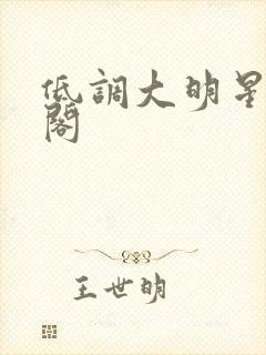 低调大明星笔趣阁