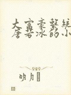 大富豪系统林凡唐若冰的小说叫什么