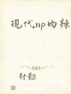 现代np肉辣文封面