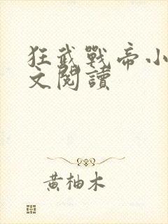 狂武战帝小说全文阅读