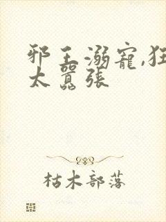 邪王溺宠,狂妃太嚣张
