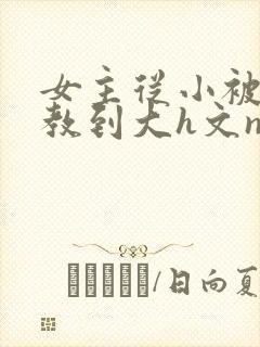 女主从小被肉调教到大h文np
