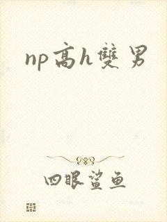 np高h双男