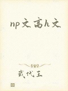 np文高h文