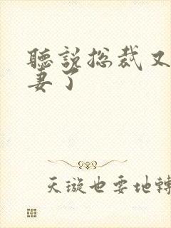 听说总裁又去追妻了