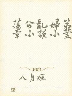 荡公乱妇第51章小说小莹