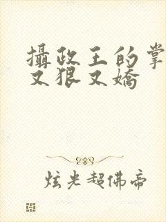 摄政王的掌心宠又狠又娇