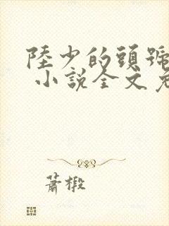 陆少的头号宠婚 小说全文免费阅读