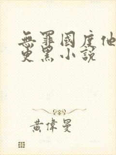 无罪国度他比夜更黑小说封面