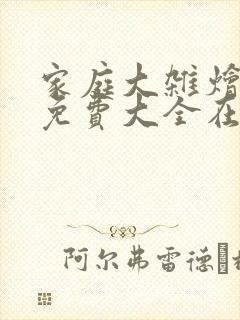 家庭大杂烩小说免费大全在线阅读封面