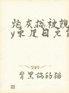 炮灰总被觊觎by东度日免费阅读笔趣阁