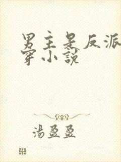 男主是反派的快穿小说