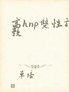高hnp双性调教