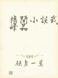 杨开小说武炼巅峰品
