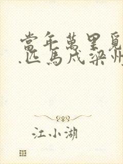 当年万里觅封侯.匹马戍梁州
