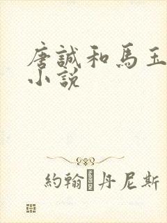 唐诚和马玉婷的小说