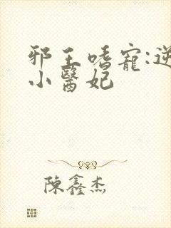 邪王嗜宠:逆天小医妃