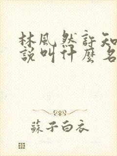 林风然许知唯小说叫什么名字