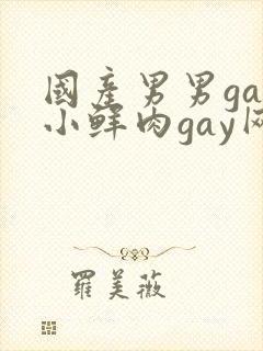 国产男男gay小鲜肉gay网站亚洲