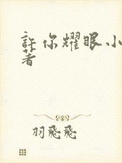 许你耀眼小说原著