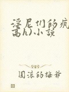 淫尼们的疯狂(高h)小说