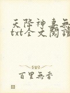 天降神妻无删减txt全文阅读下载