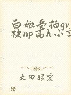 白嫩受拍gv片被np高h小说