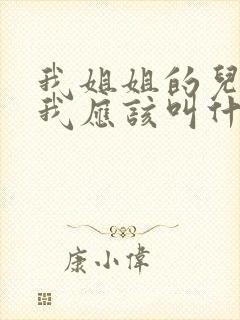我姐姐的儿子,我应该叫什么封面