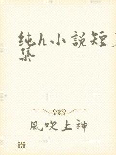 纯h小说短篇合集