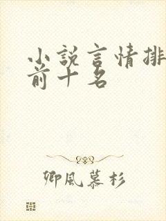 小说言情排行榜前十名