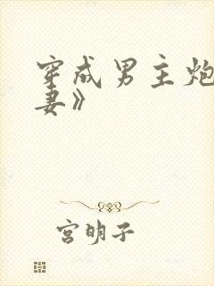 穿成男主炮灰前妻》