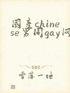 国产chinese男同gay网站
