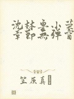 沈林鲁小荣最新章节无弹窗笔趣阁封面