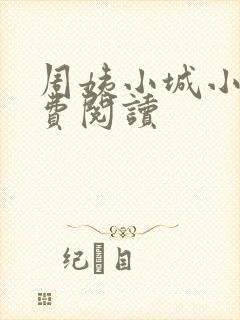 周姨小城小说免费阅读