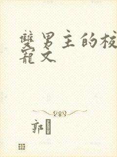 双男主的校园甜宠文封面