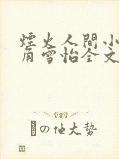 烟火人间小说主角雪怡全文完结无删减txt封面