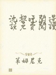 沈黎晚闻璟川小说免费阅读最新章节