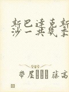 斯巴达克斯血与沙一共几季封面