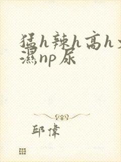 猛h辣h高h文湿np尿