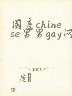 国产chinese男男gay网站