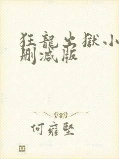 狂龙出狱小说无删减版