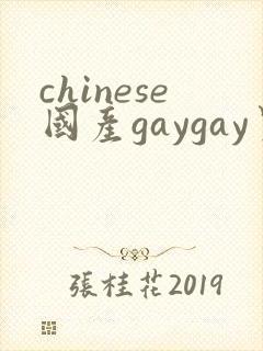 chinese国产gaygay男男网站